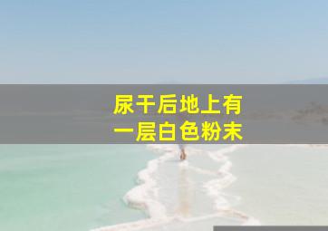 尿干后地上有一层白色粉末