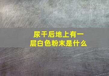 尿干后地上有一层白色粉末是什么