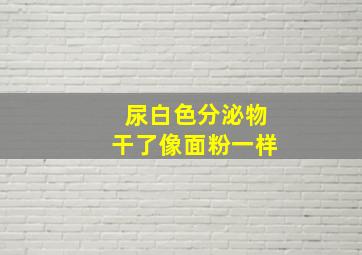 尿白色分泌物干了像面粉一样