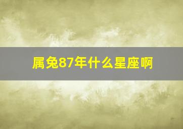 属兔87年什么星座啊