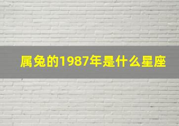 属兔的1987年是什么星座