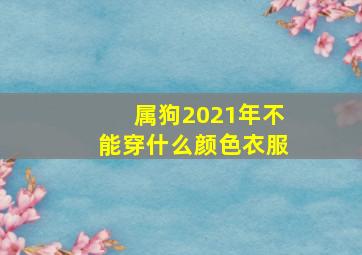 属狗2021年不能穿什么颜色衣服