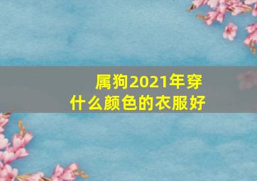 属狗2021年穿什么颜色的衣服好