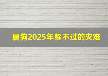 属狗2025年躲不过的灾难