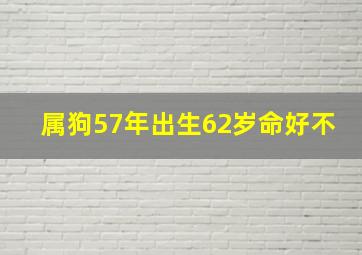 属狗57年出生62岁命好不