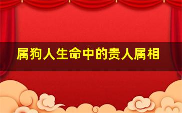 属狗人生命中的贵人属相