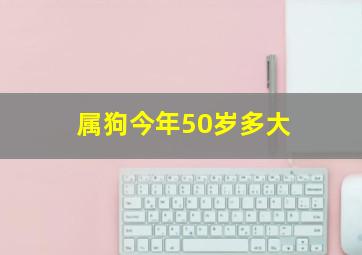 属狗今年50岁多大