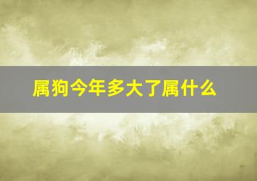 属狗今年多大了属什么