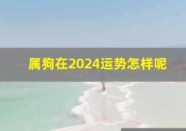 属狗在2024运势怎样呢