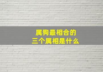 属狗最相合的三个属相是什么