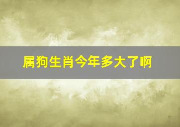 属狗生肖今年多大了啊