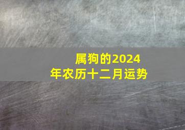 属狗的2024年农历十二月运势