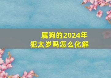 属狗的2024年犯太岁吗怎么化解