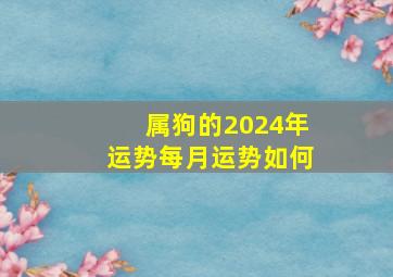 属狗的2024年运势每月运势如何