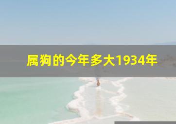 属狗的今年多大1934年