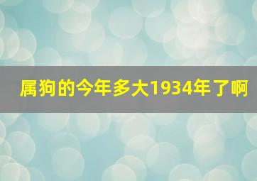 属狗的今年多大1934年了啊