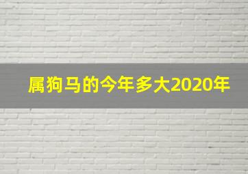 属狗马的今年多大2020年