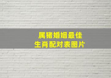 属猪婚姻最佳生肖配对表图片