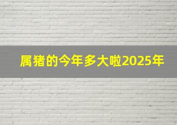 属猪的今年多大啦2025年