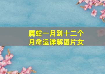 属蛇一月到十二个月命运详解图片女