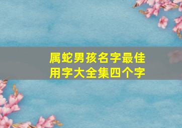 属蛇男孩名字最佳用字大全集四个字