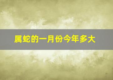 属蛇的一月份今年多大