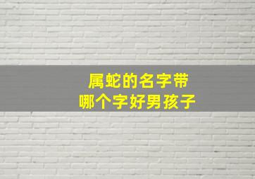 属蛇的名字带哪个字好男孩子