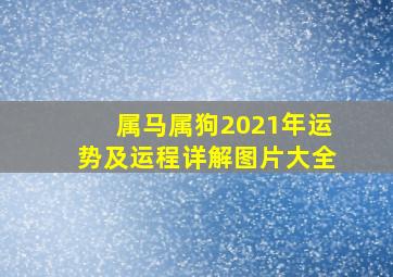 属马属狗2021年运势及运程详解图片大全