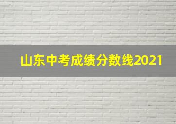 山东中考成绩分数线2021