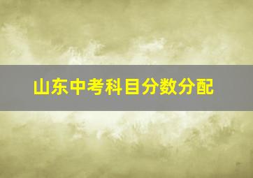 山东中考科目分数分配