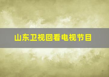 山东卫视回看电视节目