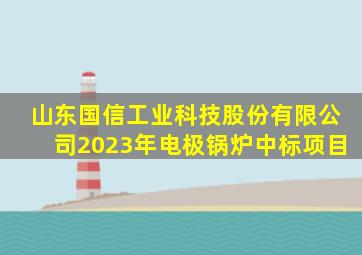 山东国信工业科技股份有限公司2023年电极锅炉中标项目