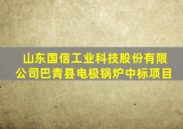 山东国信工业科技股份有限公司巴青县电极锅炉中标项目