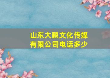 山东大鹏文化传媒有限公司电话多少