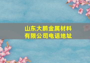 山东大鹏金属材料有限公司电话地址