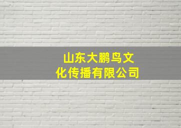 山东大鹏鸟文化传播有限公司