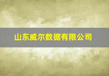 山东威尔数据有限公司