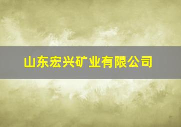 山东宏兴矿业有限公司