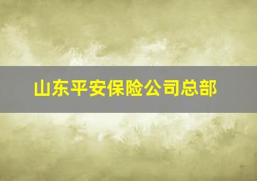 山东平安保险公司总部