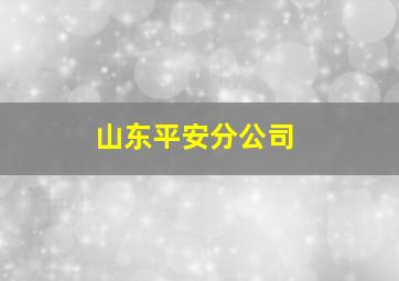 山东平安分公司