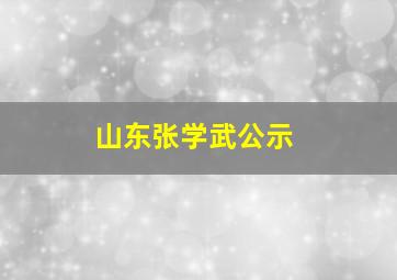 山东张学武公示