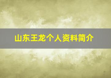 山东王龙个人资料简介