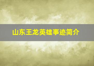 山东王龙英雄事迹简介