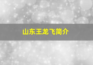 山东王龙飞简介