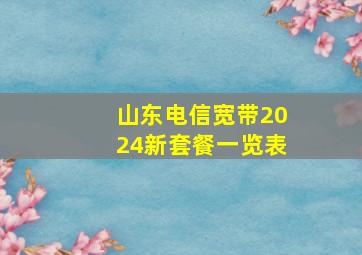 山东电信宽带2024新套餐一览表