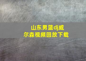 山东男篮dj威尔森视频回放下载