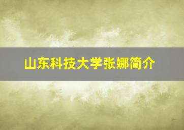 山东科技大学张娜简介