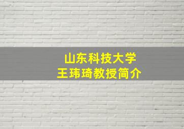 山东科技大学王玮琦教授简介