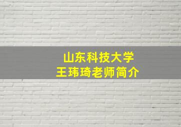 山东科技大学王玮琦老师简介