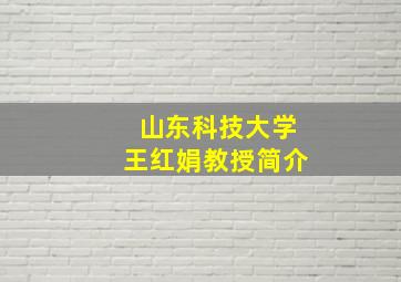 山东科技大学王红娟教授简介